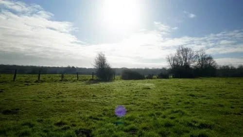 涩漫18自然风光视频素材分类